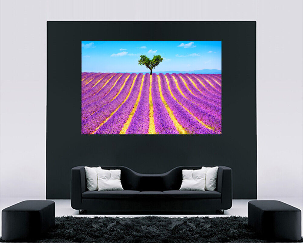 Lonely Tree in Purple Lavender Field Canvas Wall Art Picture Print