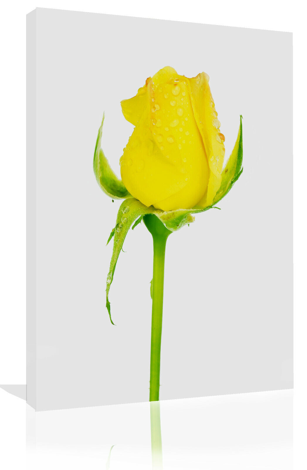 Single Yellow Rose Bud Flower Canvas Wall Art Picture Print - Portrait