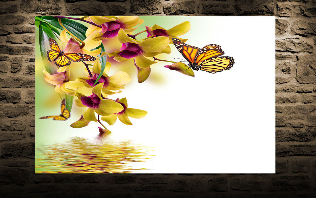 Yellow Orchid Flowers Butterflies Canvas Wall Art Picture Print - ALL SIZES