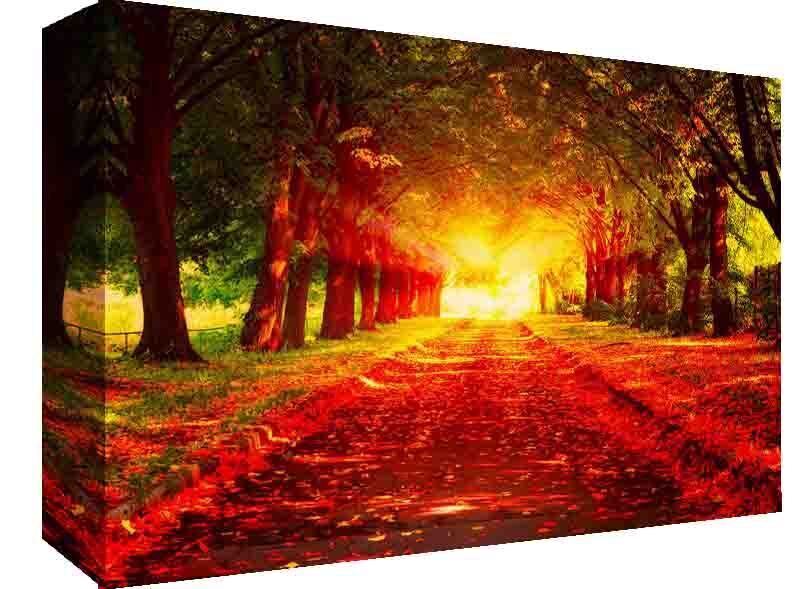 Red & Gold Forest Landscape - Canvas Wall Art Picture Print - A0 A1 and more