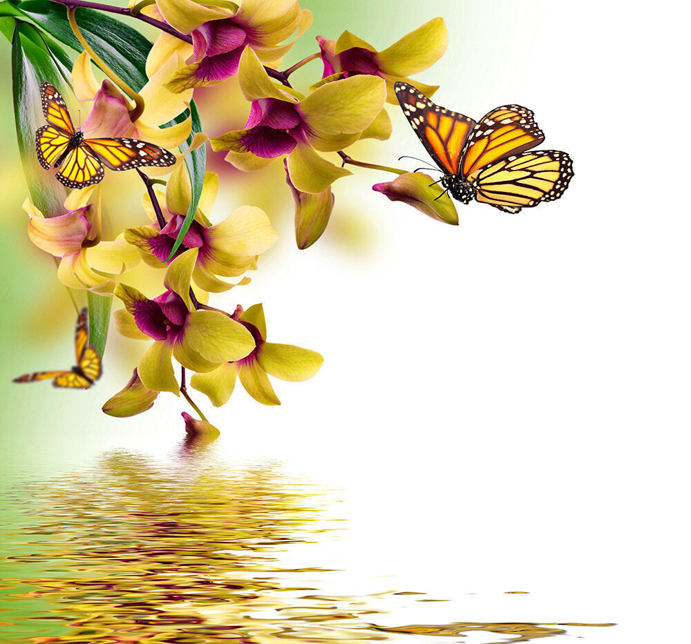 Yellow Orchid Flowers Butterflies Canvas Wall Art Picture Print - ALL SIZES