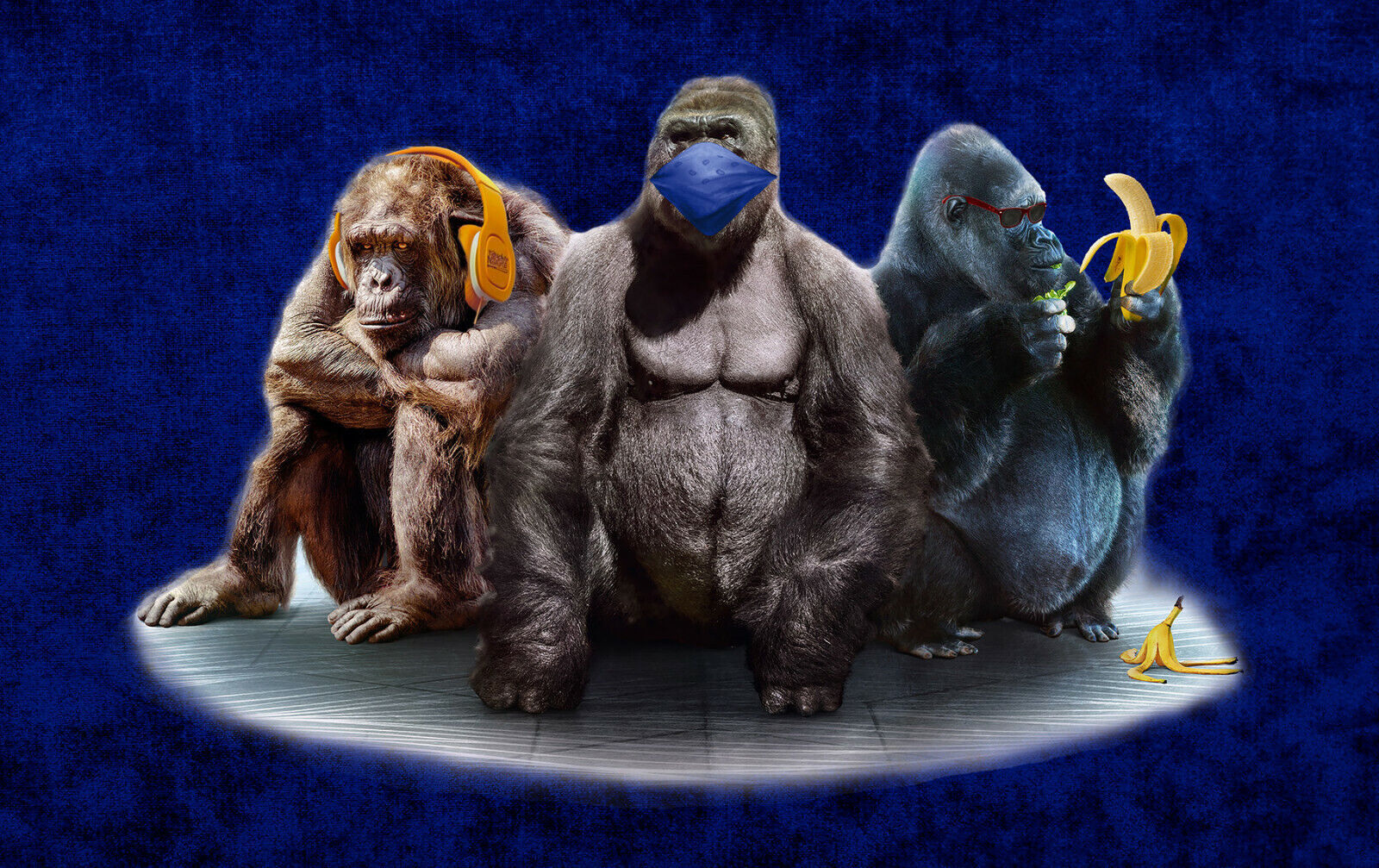 Navy Blue 3 Modern Wise Gorillas Abstract Canvas Wall Art Picture Print