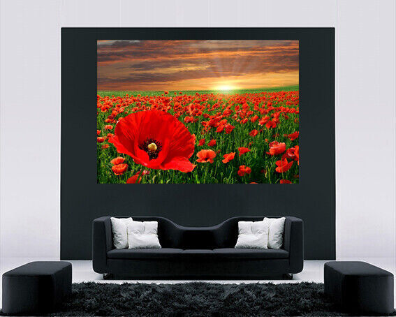 Red Poppy Flowers Field Landscape Canvas Wall Art Picture Print