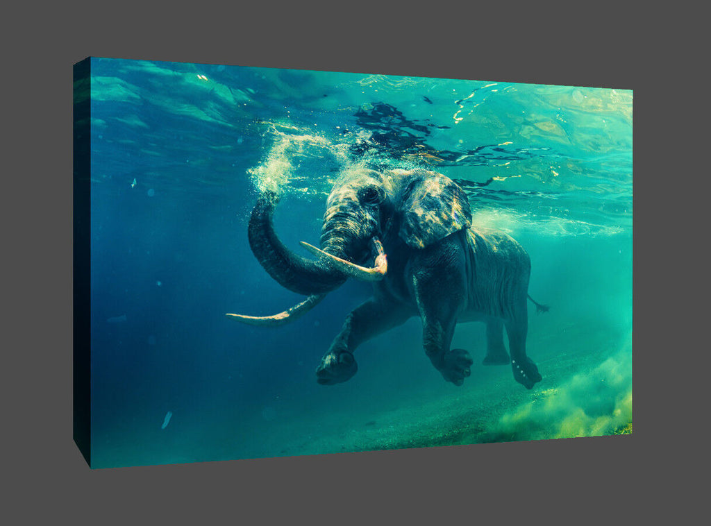 Swimming Elephant Animal in Sea CANVAS WALL ART Picture Print All sizes
