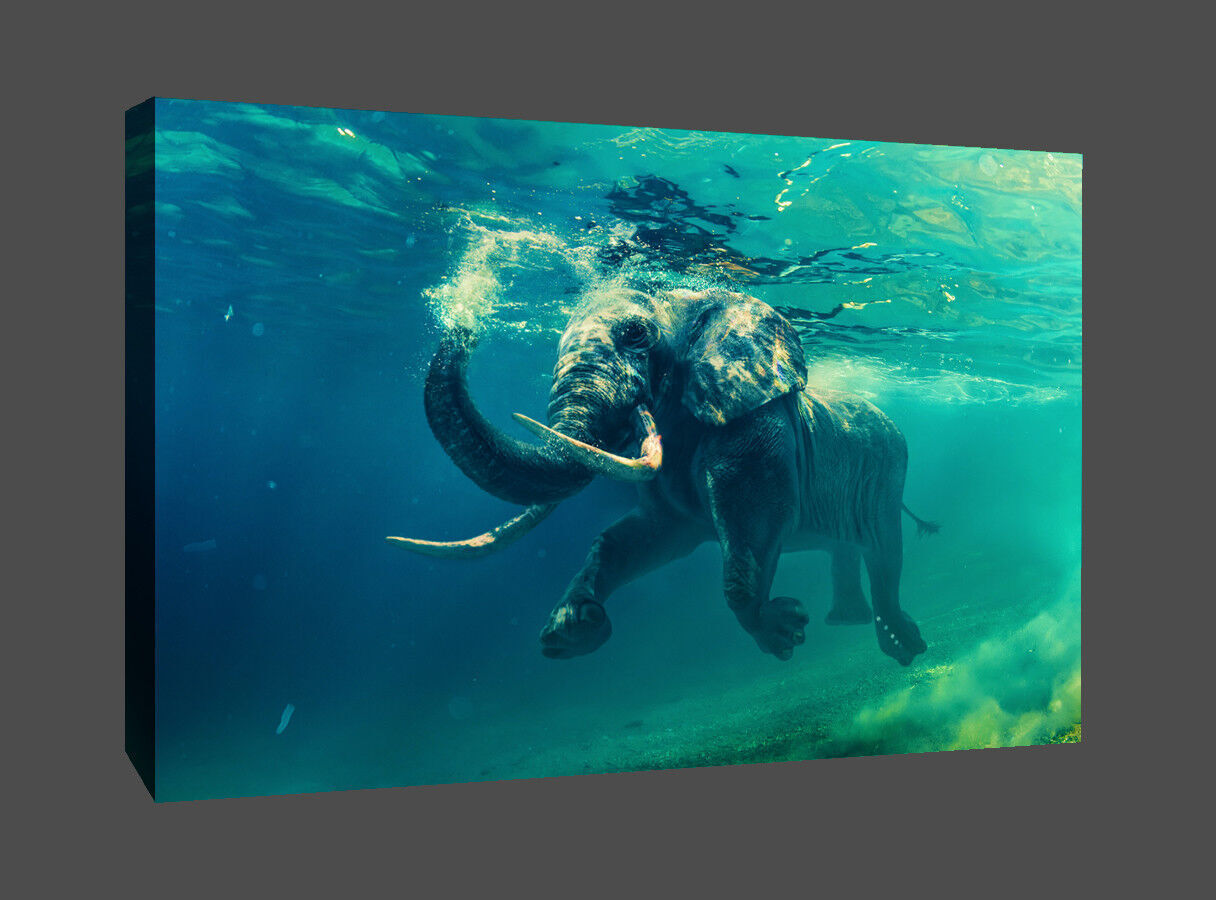 Swimming Elephant Animal in Sea CANVAS WALL ART Picture Print All sizes