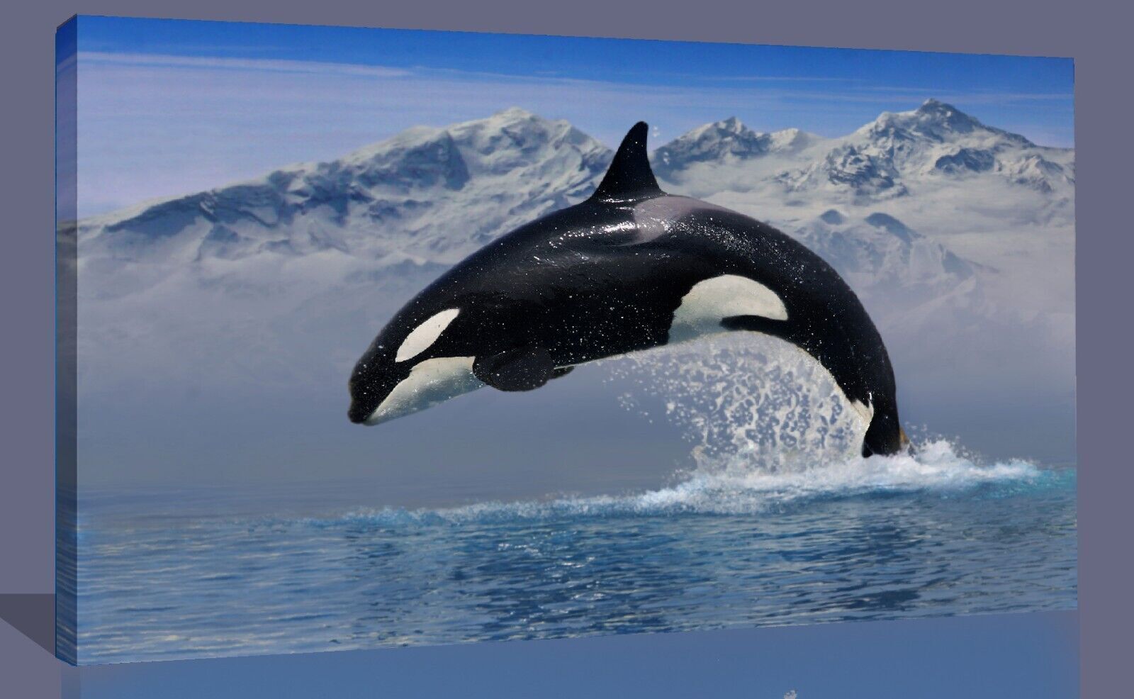 Orca Whale in Ocean Blue Canvas Wall Art Picture Print