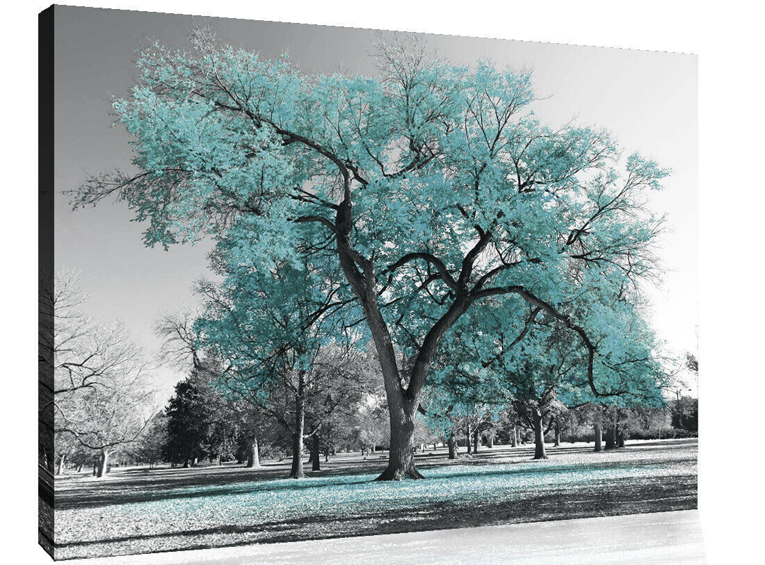 Large Duck Egg Blue Leaves Black White Tree Nature Canvas Wall Art Picture Print