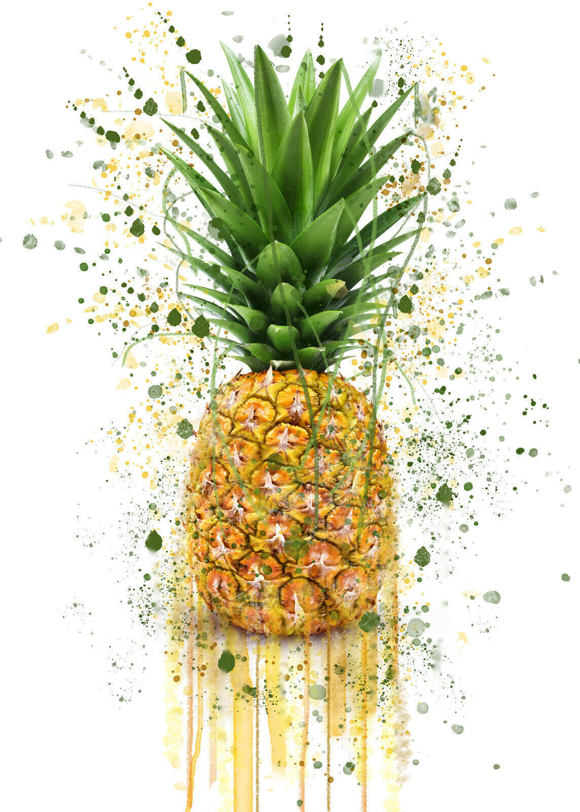 Abstract Pineapple CANVAS WALL SPLASH ART PICTURE PRINT