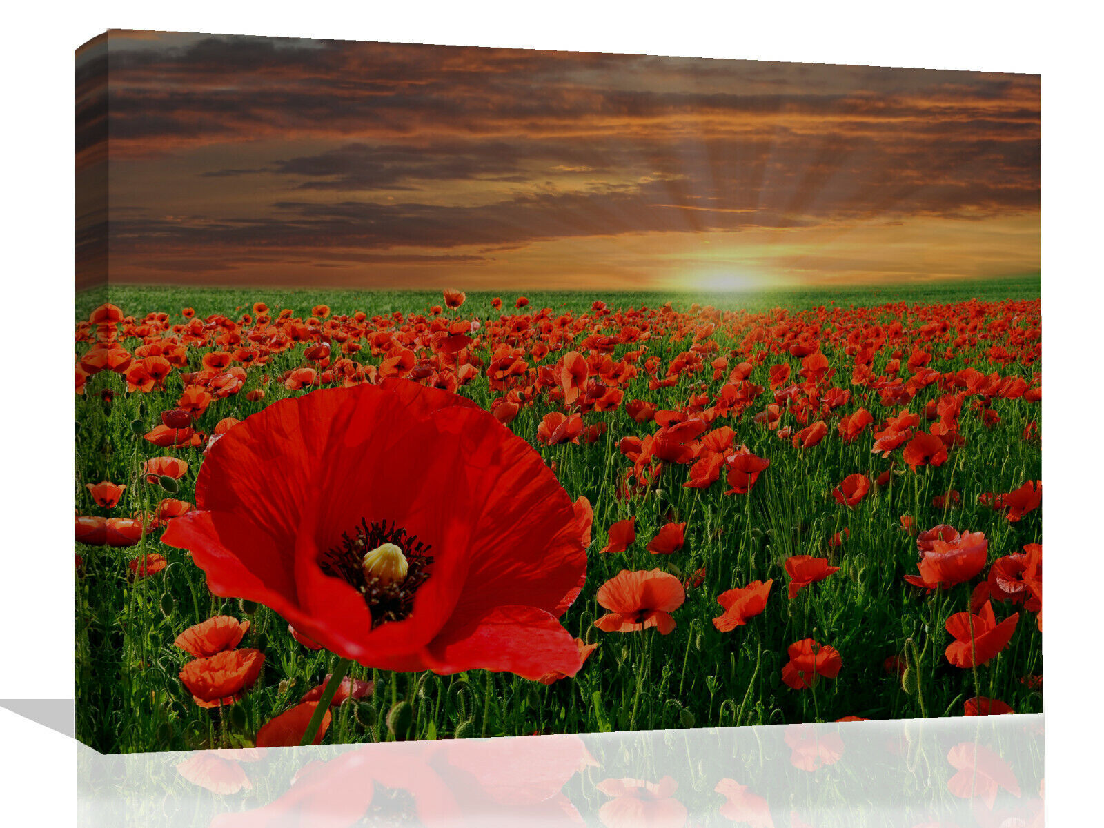 Red Poppy Flowers Field Landscape Canvas Wall Art Picture Print