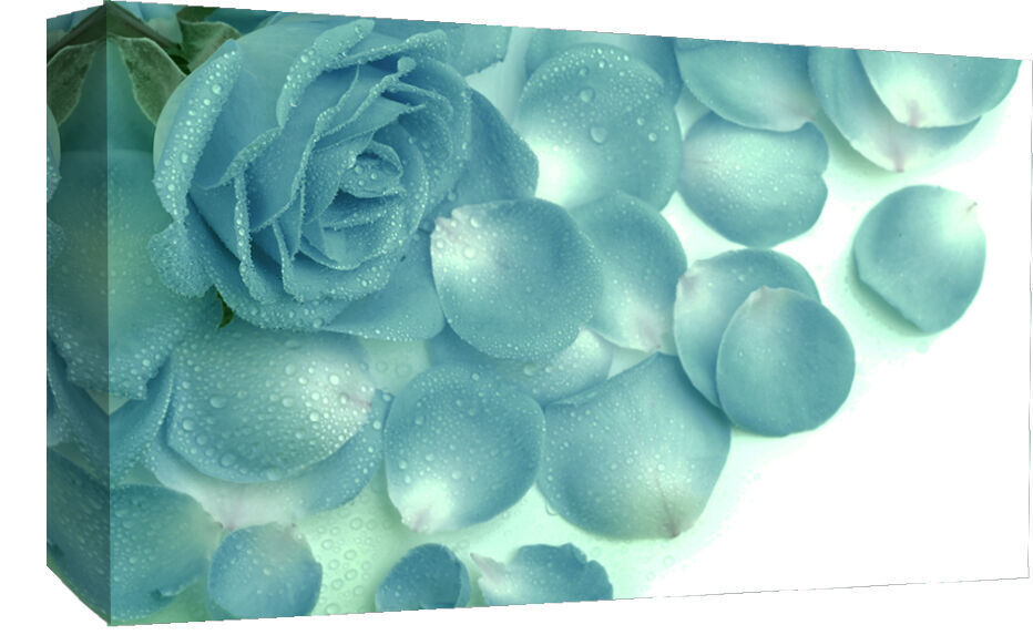 LARGE DUCK EGG BLUE ROSES & RAINDROPS CANVAS PICTURE WALL ART