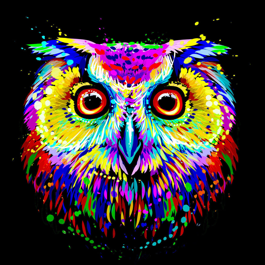 Colourful Owl Abstract Pop Art Canvas Wall Art Picture Print -Free Fast Delivery