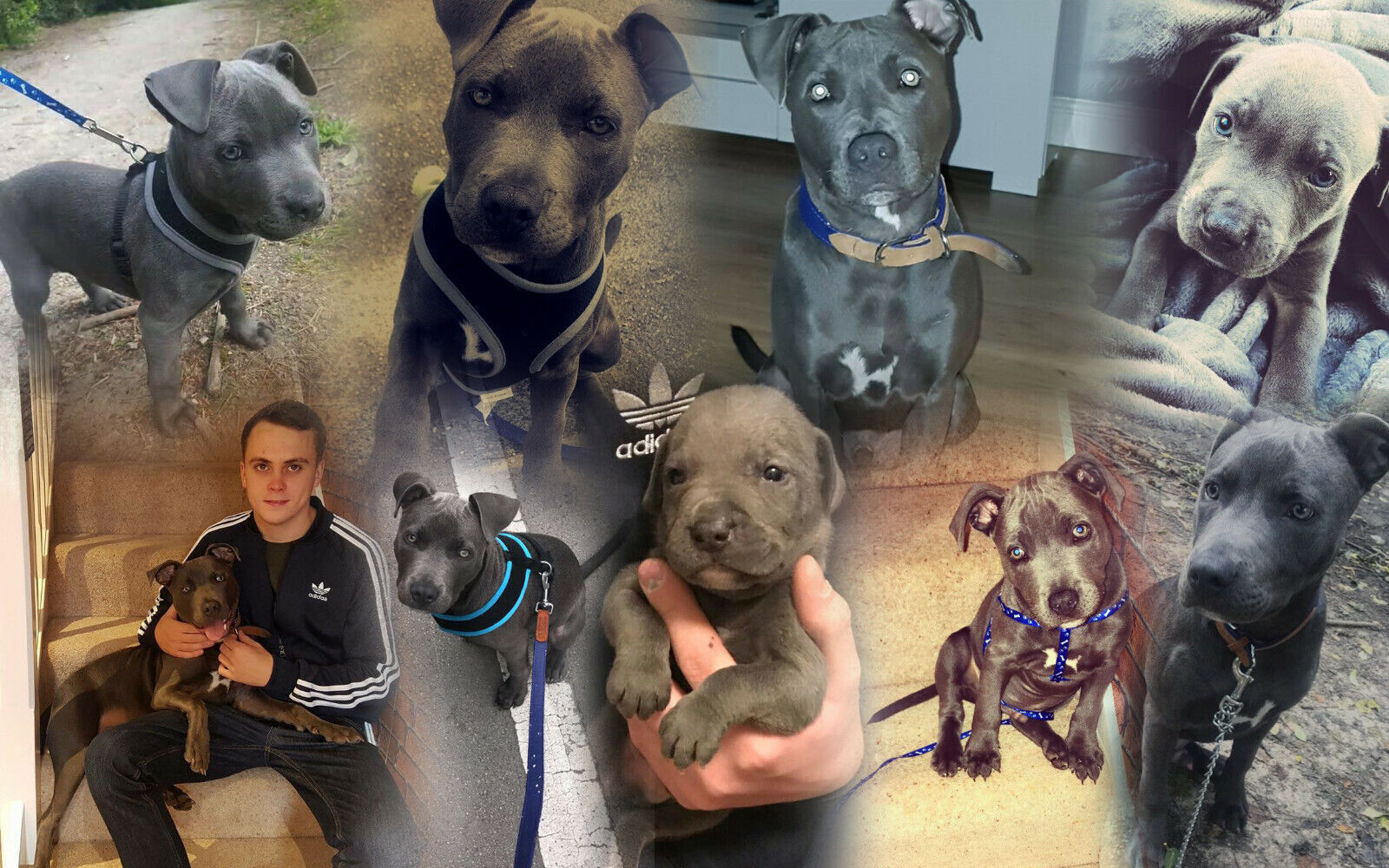 Your Personal Photos on a Collage/Montage - Cotton Canvas 40" x 29" 100cm x 75cm