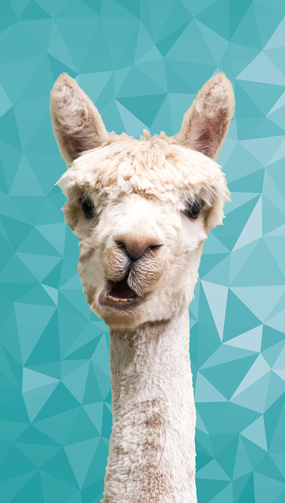 ALPACA ANIMAL DUCK EGG BLUE GEO CANVAS WALL ART PRINT ARTWORK