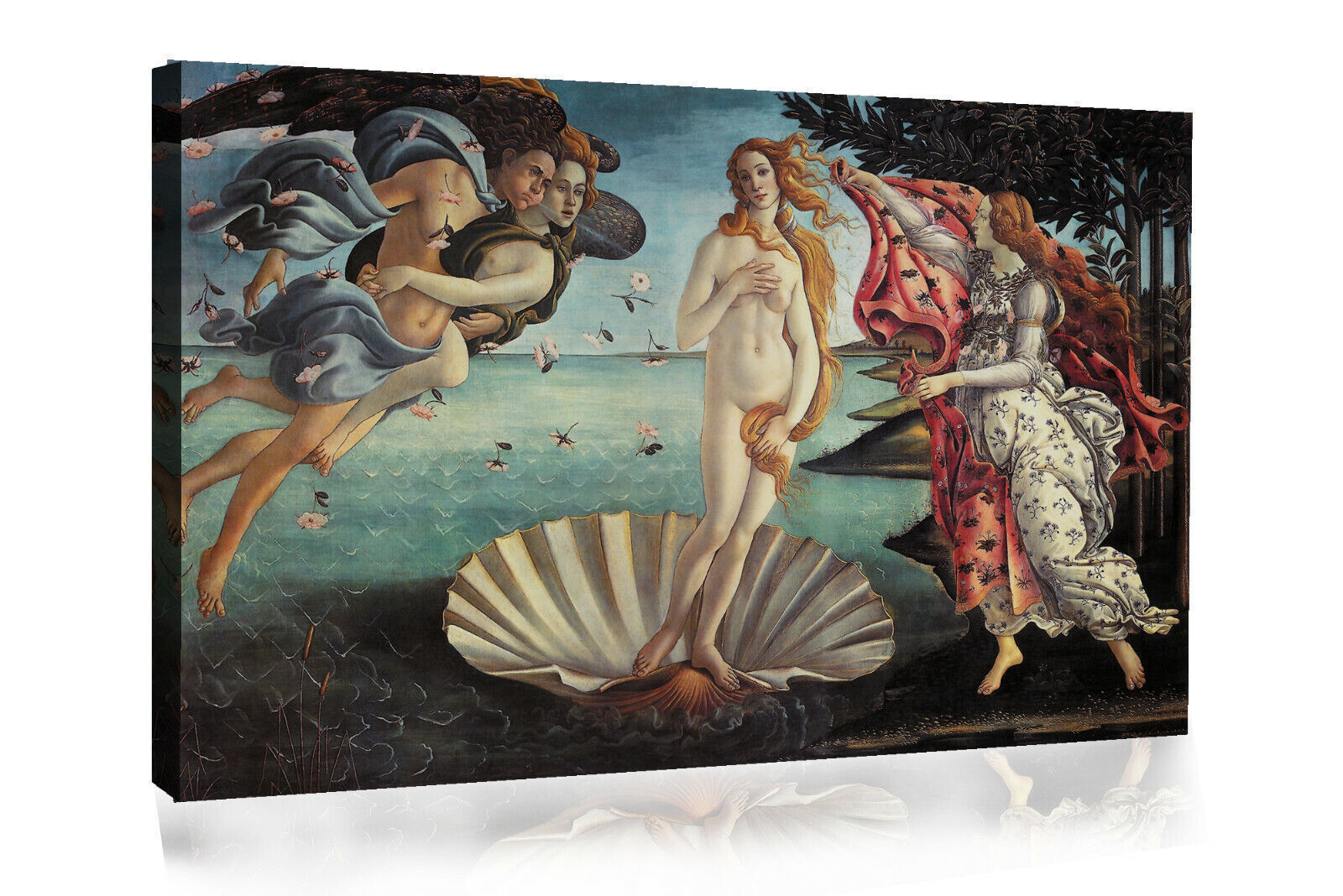 The Birth of Venus Botticelli  CANVAS WALL ART PRINT ARTWORK