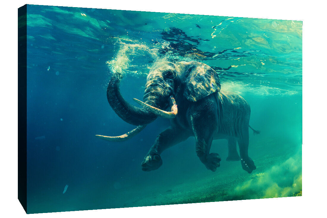Swimming Elephant Animal in Sea CANVAS WALL ART Picture Print All sizes