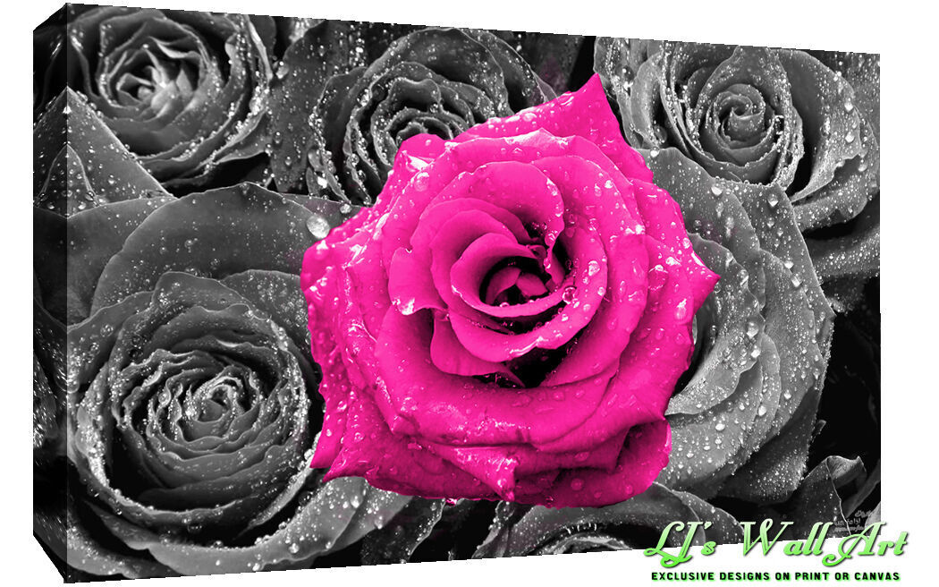 Floral Pink Rose on Bed of Roses Abstract CANVAS WALL ART Picture Print