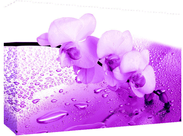 Purple Orchid Floral Canvas Wall Art Picture Print - ALL SIZES