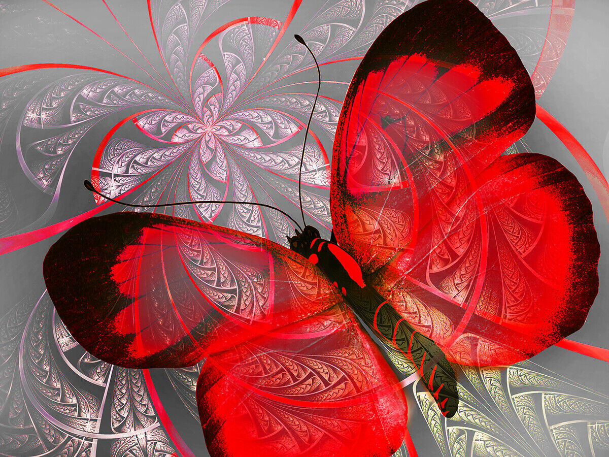 Abstract Canvas Print Floral Butterfly Red Grey Unique Wall Art Various Sizes