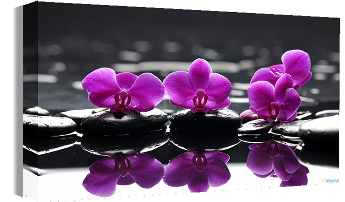 Purple flowers on black pebbles Canvas Wall Art Picture Print  - All sizes