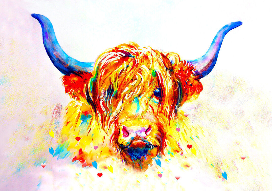 Coloured Highland Cow Box Canvas wall art print picture - All sizes available