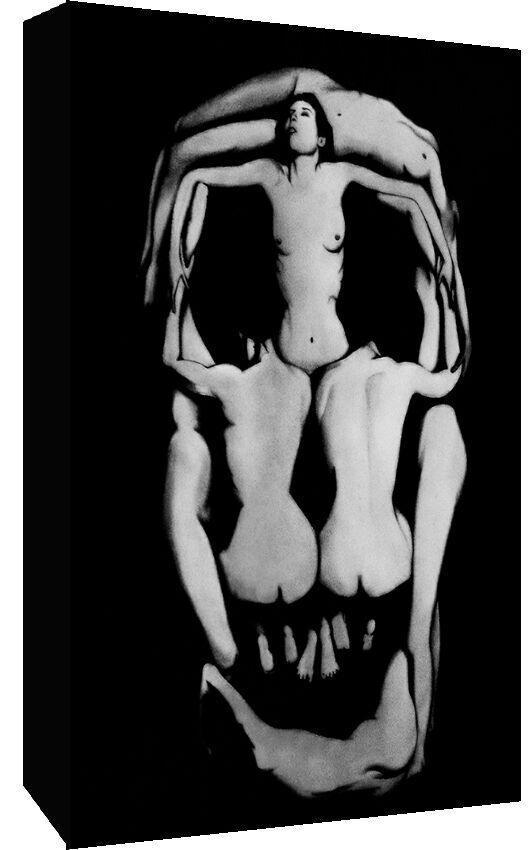 Salvador Dali 7 women Skull 100% cotton Canvas Wall Art Picture Print