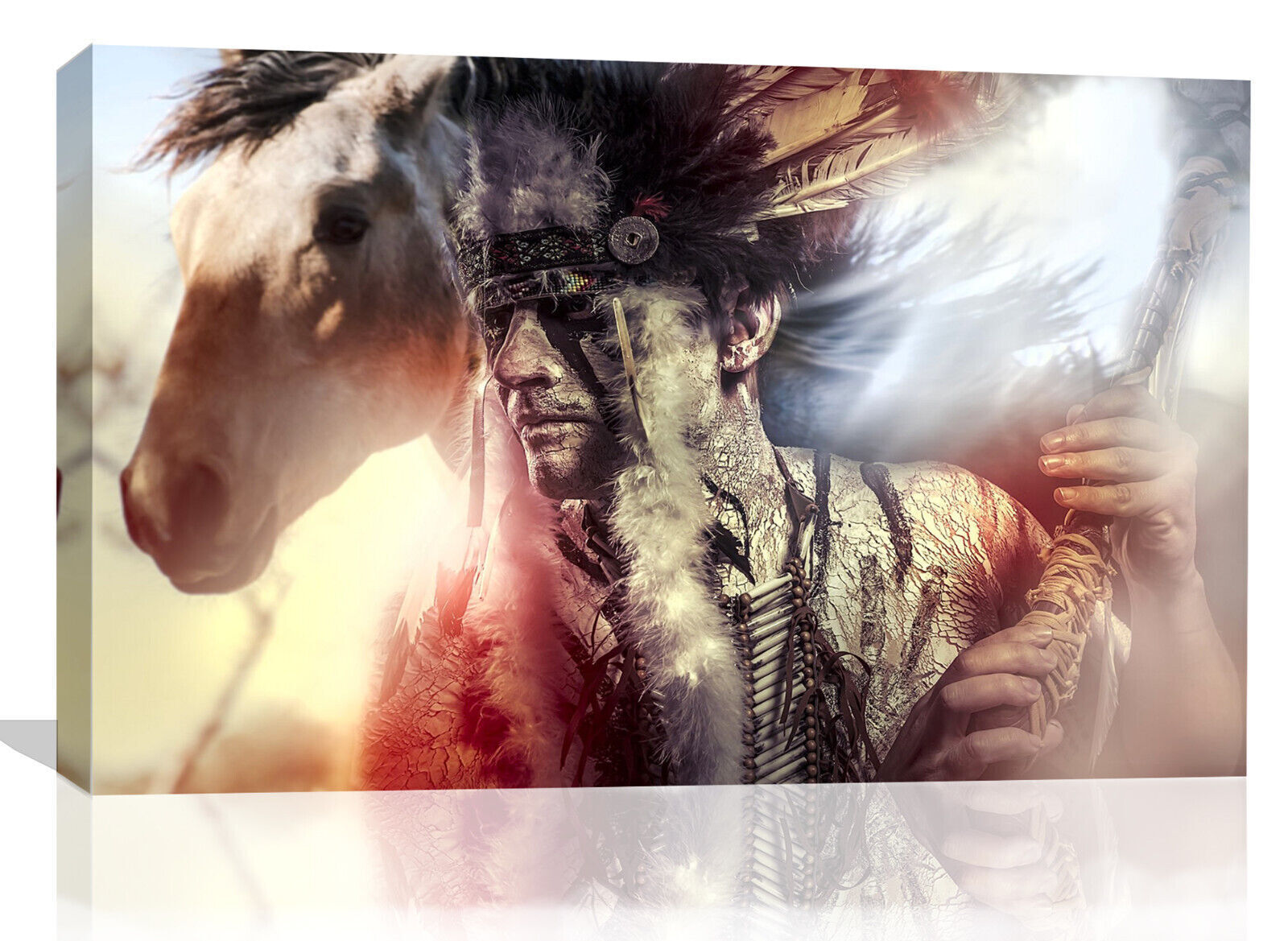 Native American Indian Chief Warrior  Horse Canvas wall art print picture