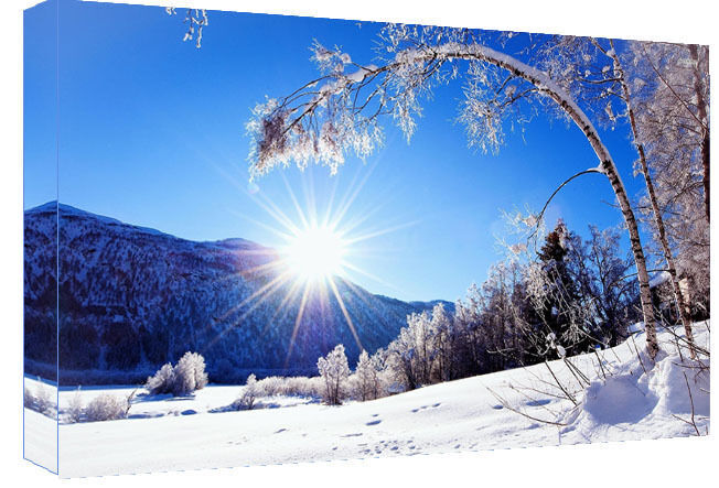 Snow Winter Wonderland Cotton Canvas Wall Art Picture Print - All Sizes