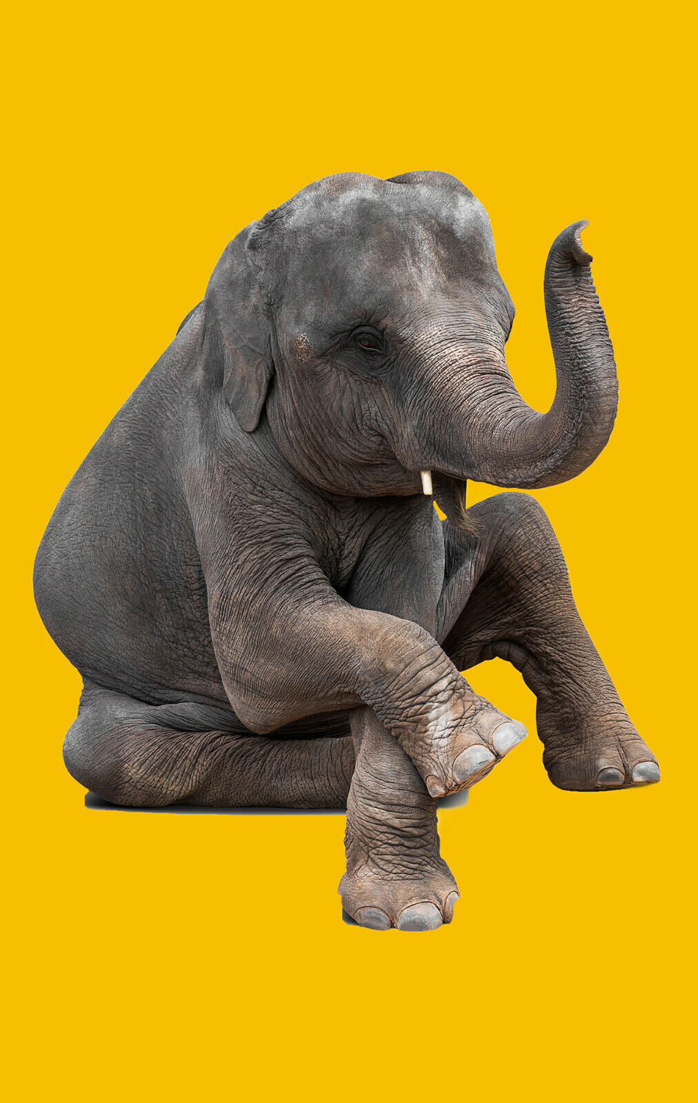 Mustard Yellow Grey Elephant Abstract Canvas Wall Art Picture Print