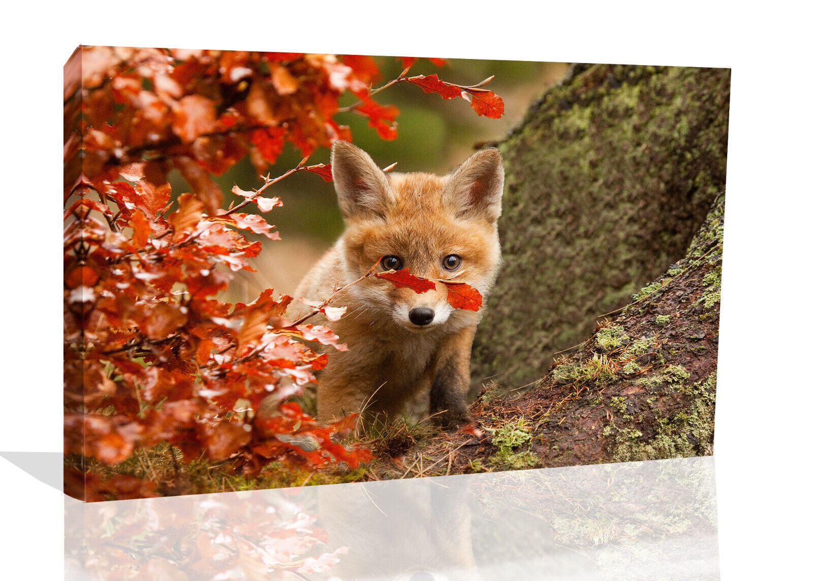 Cute Baby Fox in Autumn Canvas wall art print picture