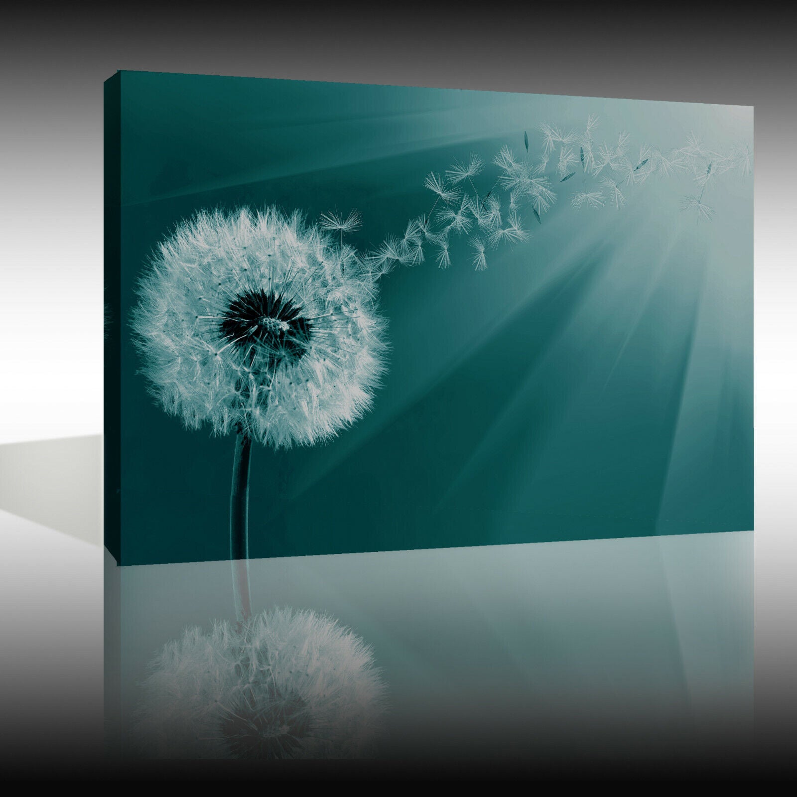Duck Egg Blue Dandelion Blowing into Sunlight Canvas Wall Art Picture Print