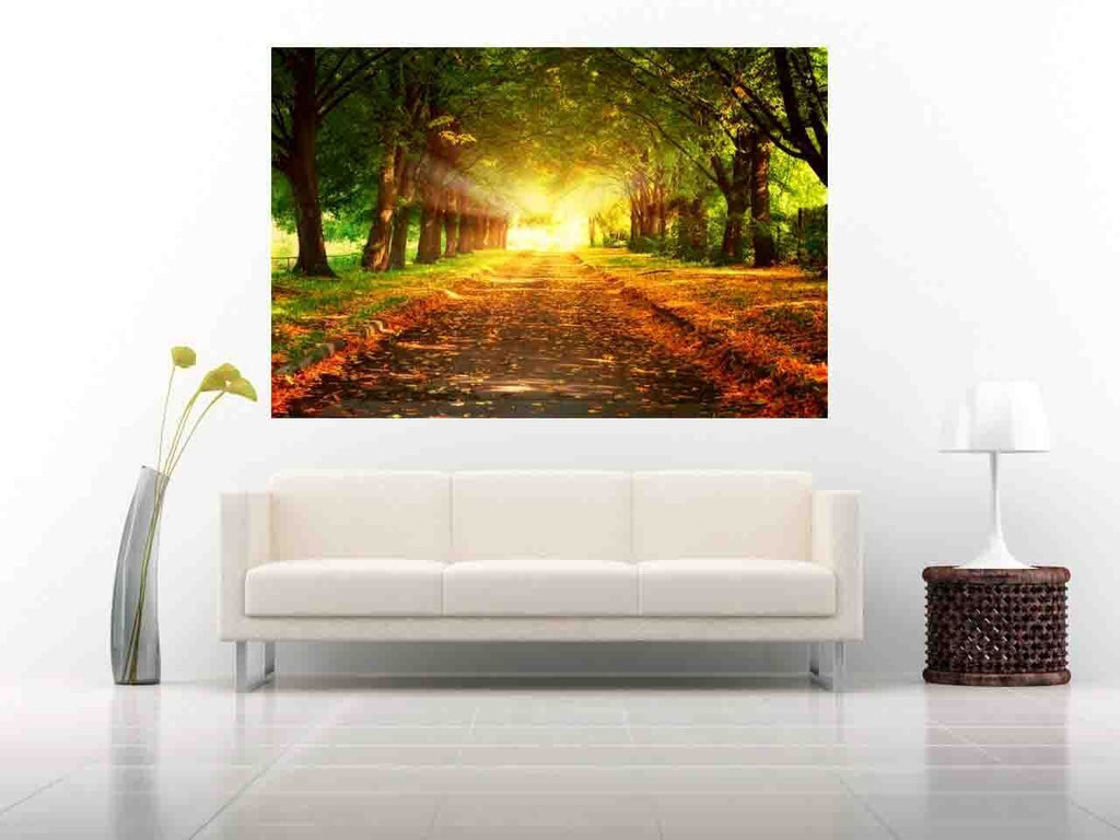 Sun Beam in Forest Landscape - Canvas Wall Art Picture Print - A0 A1 and more