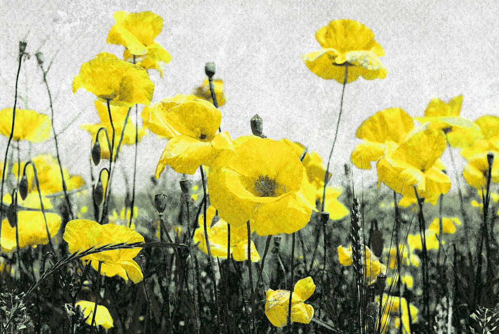 Abstract Yellow Poppies Flowers CANVAS WALL ART Picture Print
