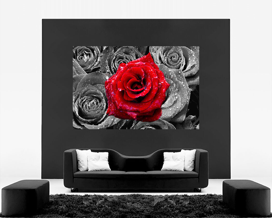 Floral Red Rose on Bed of Roses Abstract  CANVAS WALL ART Picture Print