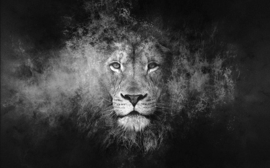 Black & White Abstract Lion CANVAS WALL ART Picture Print, A1, A2 Various sizes