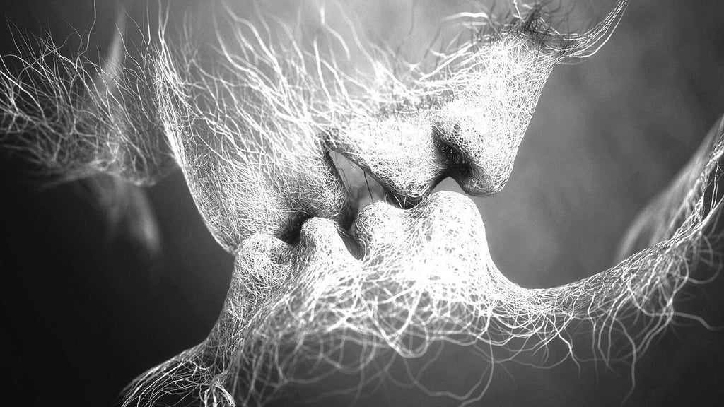 Black & White Love Kiss Abstract Art on CANVAS WALL ART Picture Print A4 A1 A2