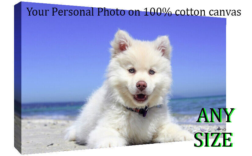 YOUR PHOTO ON CANVAS PRINT LARGE PERSONALISED 34MM DEEP FRAMED 12" x 12"