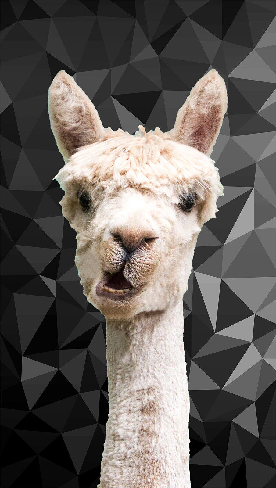 ALPACA ANIMAL BLACK, WHITE GREY GEO CANVAS WALL ART PRINT ARTWORK