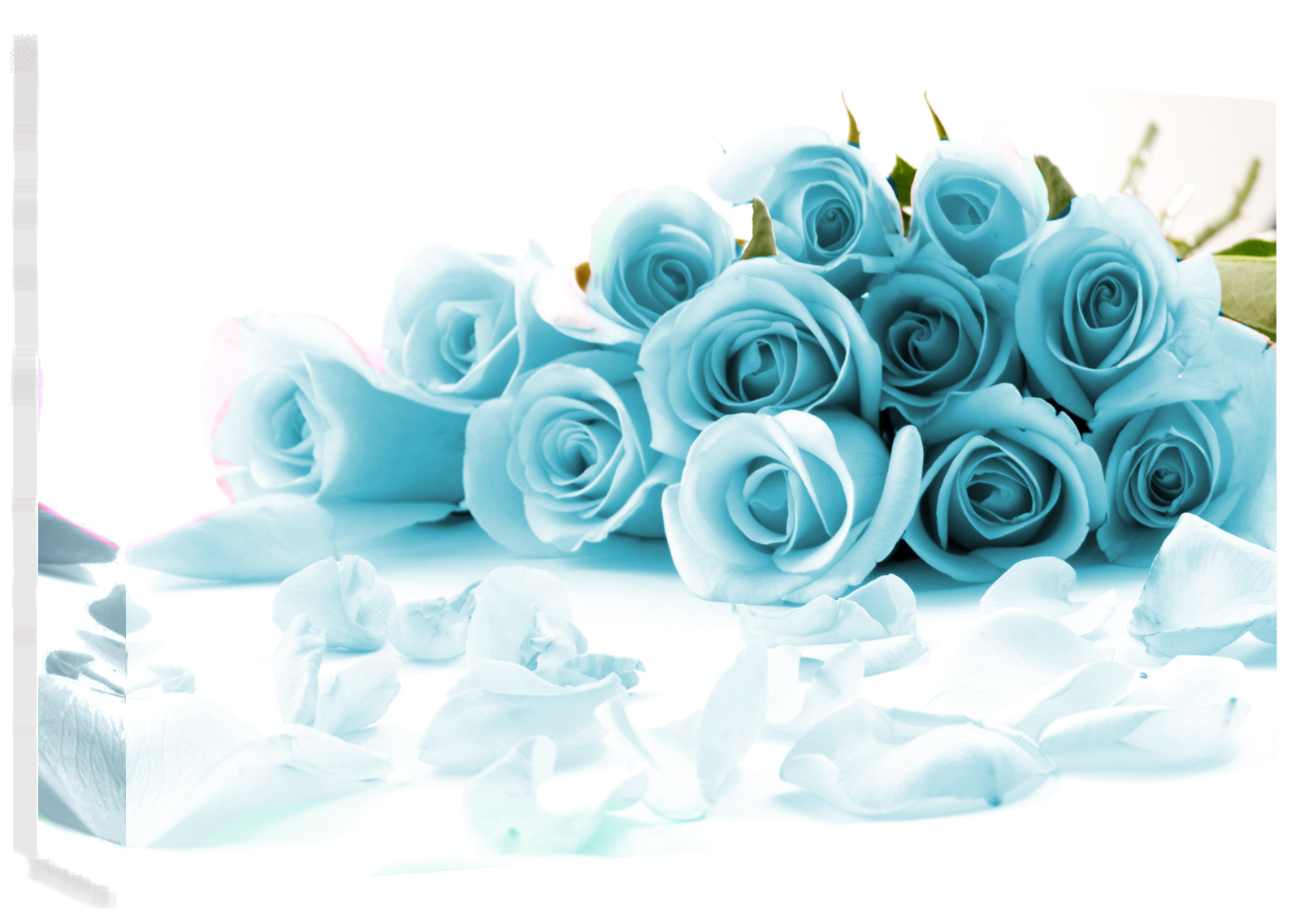 DUCK EGG BLUE BUNCH ROSES CANVAS PICTURE WALL Canvas Wall Art Print 100% cotton