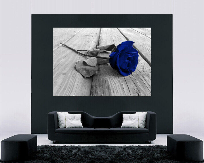 Navy Blue and Grey Rose Flower Canvas Wall Art Picture Print