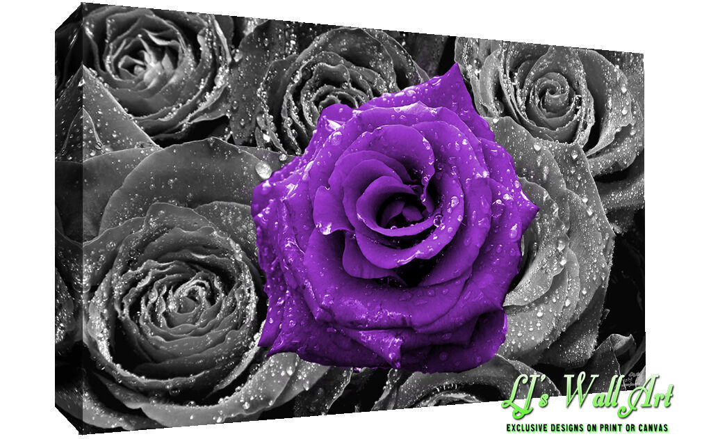 Floral Purple Rose on Bed of Roses Abstract CANVAS WALL ART Picture Print