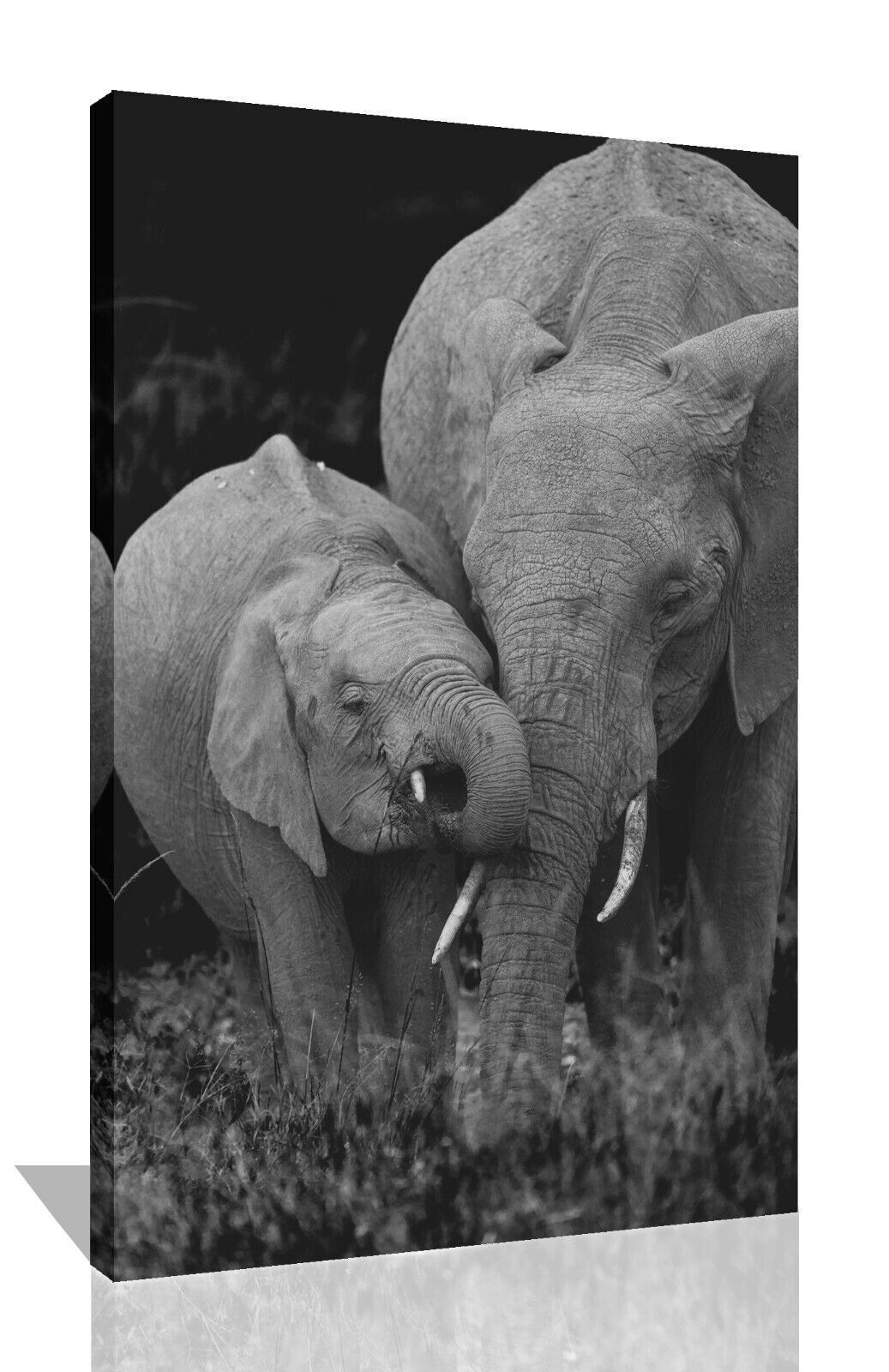 Elephants - Mum And Baby, Black And White Canvas Wall Art Picture Print