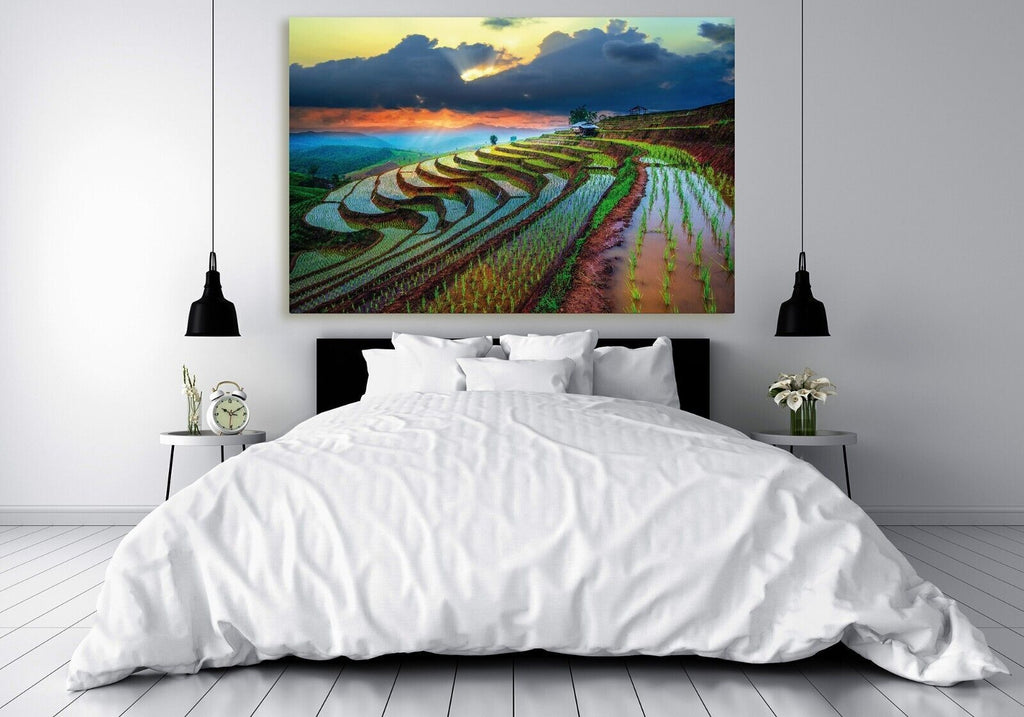 Sunset Over Paddy Field in Thailand  Canvas Wall Art Picture Print