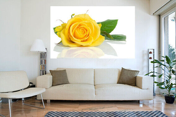 Single Yellow Rose Flower Canvas Wall Art Picture Print