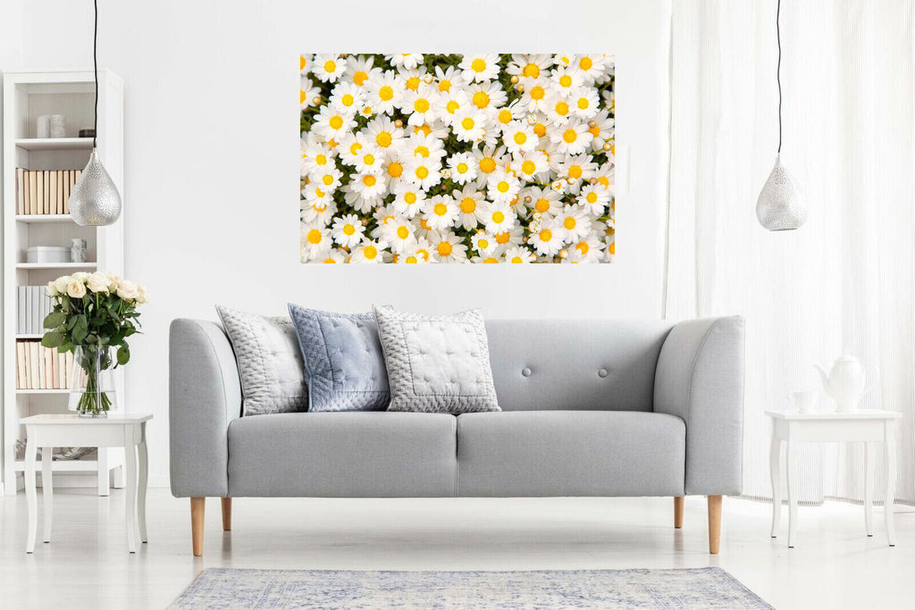 Daisy Meadow Flowers Canvas Wall Art Picture Print Artwork  - Yellow and white