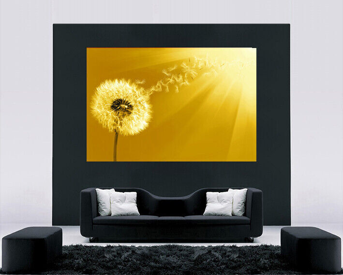 Yellow / Mustard Dandelion Blowing into Sunlight Canvas Wall Art Picture Print