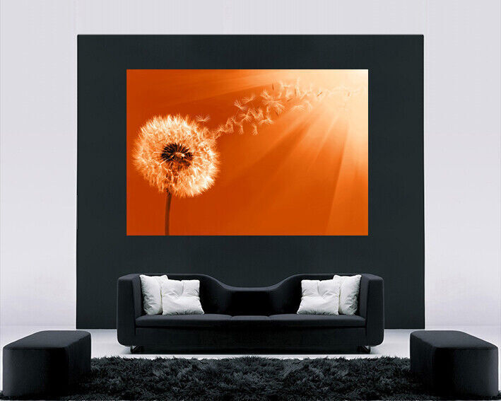Orange Dandelion Blowing into Sunlight Canvas Wall Art Picture Print