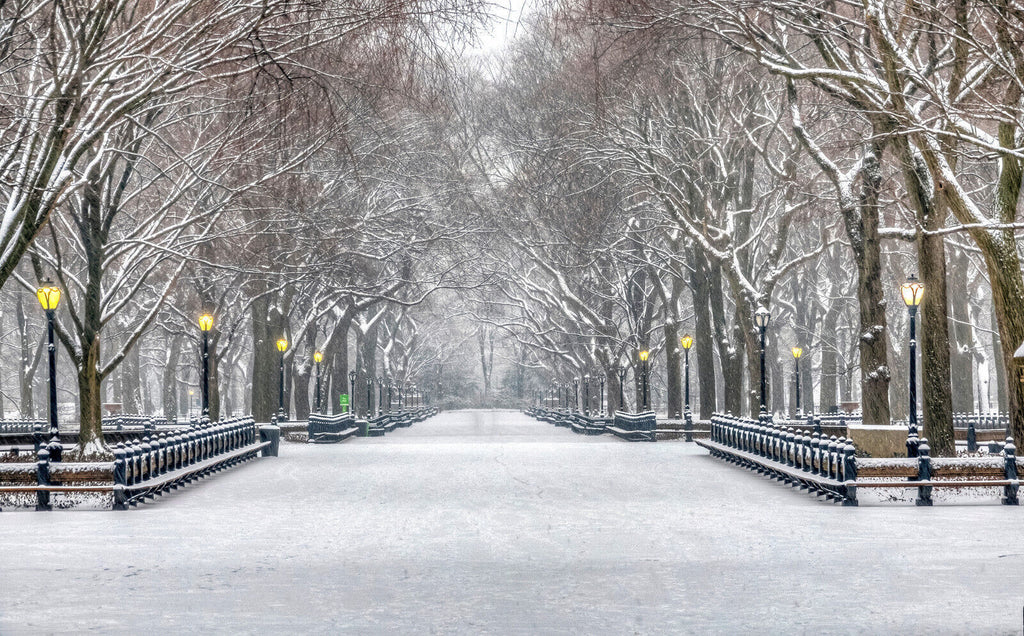 Snowy Winter in Central Park New York  Canvas Wall Art Picture Print