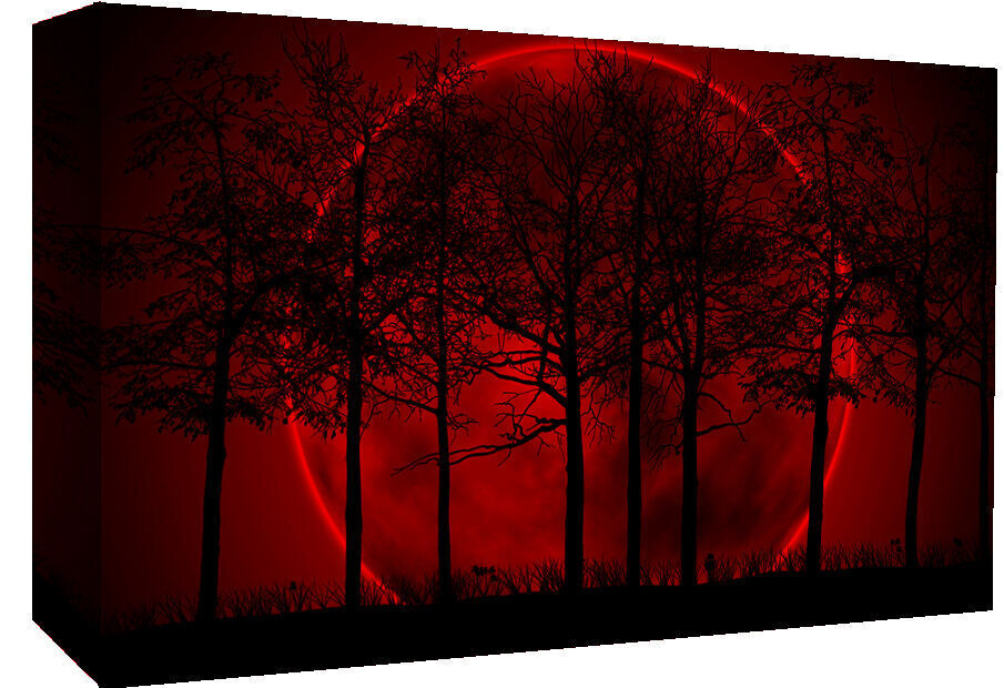 Red & Black Modern Landscape Cotton Canvas Wall Art Picture Print - All sizes