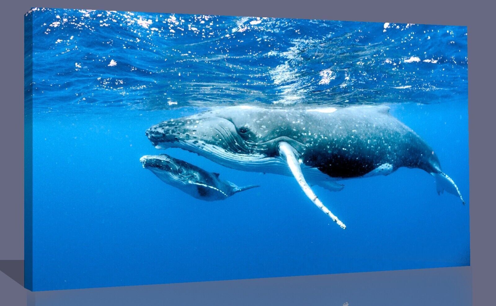 Humpback Whale and Calf Bathroom Blue Canvas Wall Art Picture Print