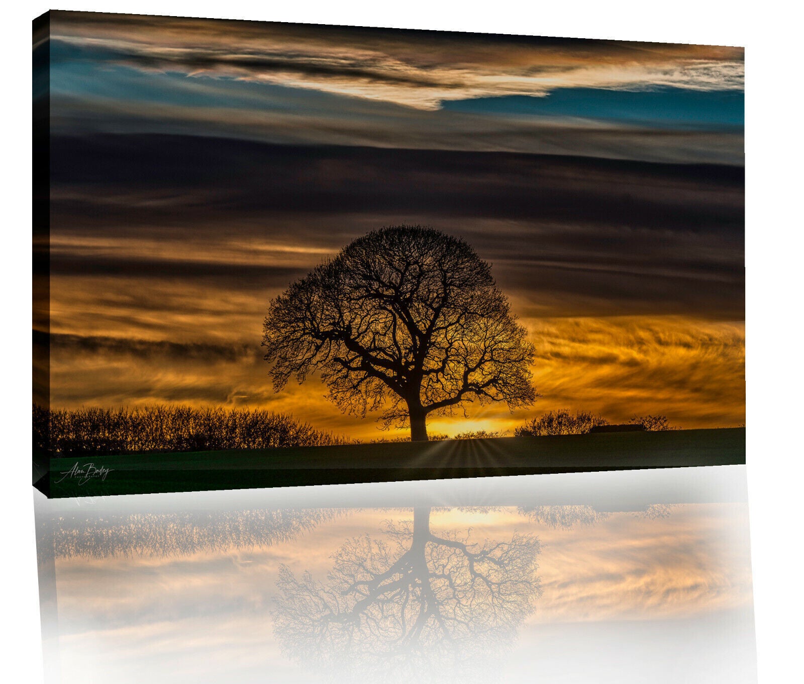 Sunset on Oak Tree on Farm Landscape Canvas Wall Art Picture Print
